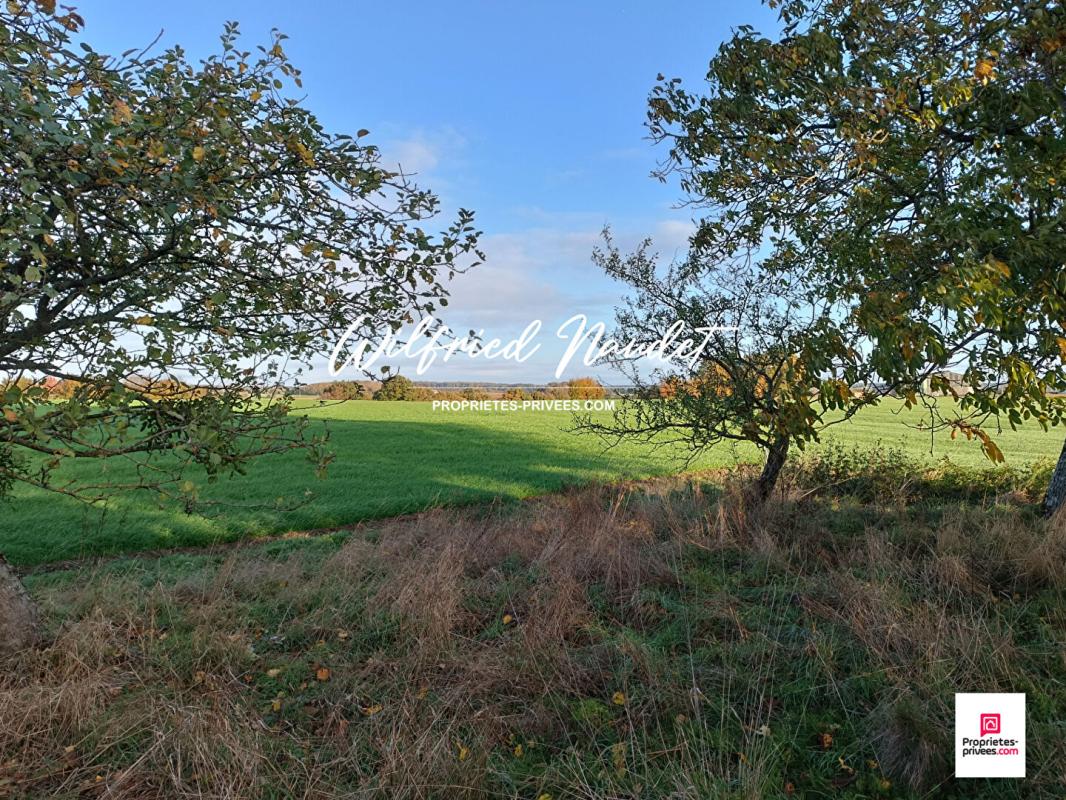 SAINT-VINCENT-DU-LOROUER Longère  au calme 5