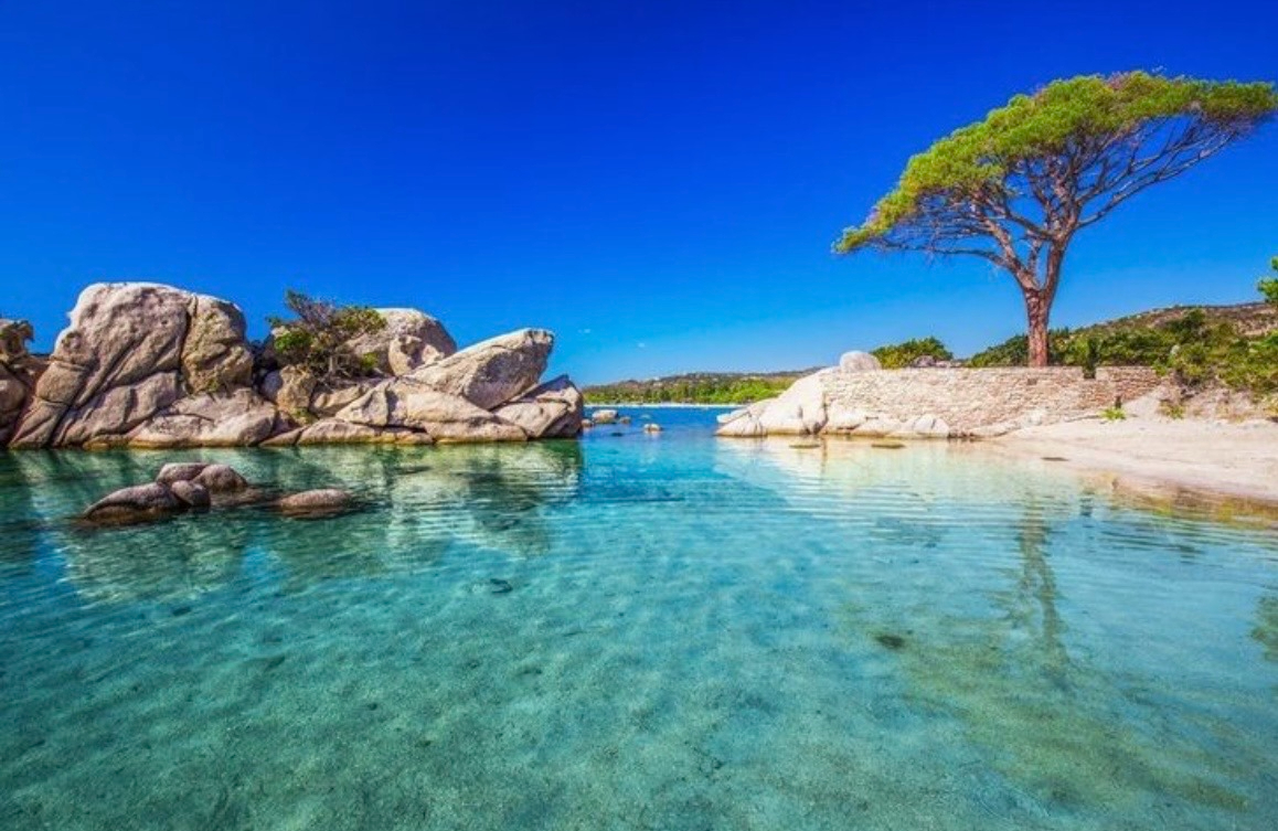 PORTO-VECCHIO Superbe appartement T3 neuf Porto Vecchio 8