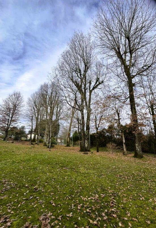 CHATEAU-L'EVEQUE Maison Château L'Evêque 116 m2  avec grand jardin 15