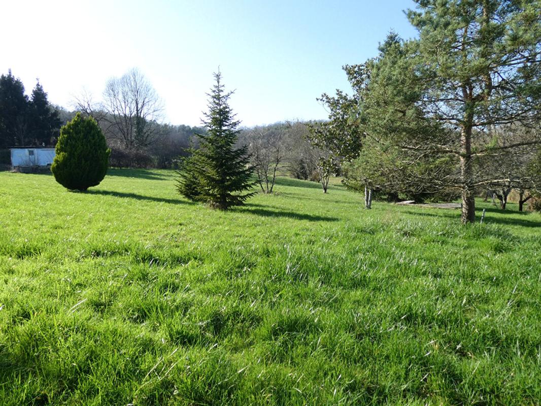 HAUTEFORT Maison 160m² habitables / sous-sol 200m² / terrain 9540m² 15