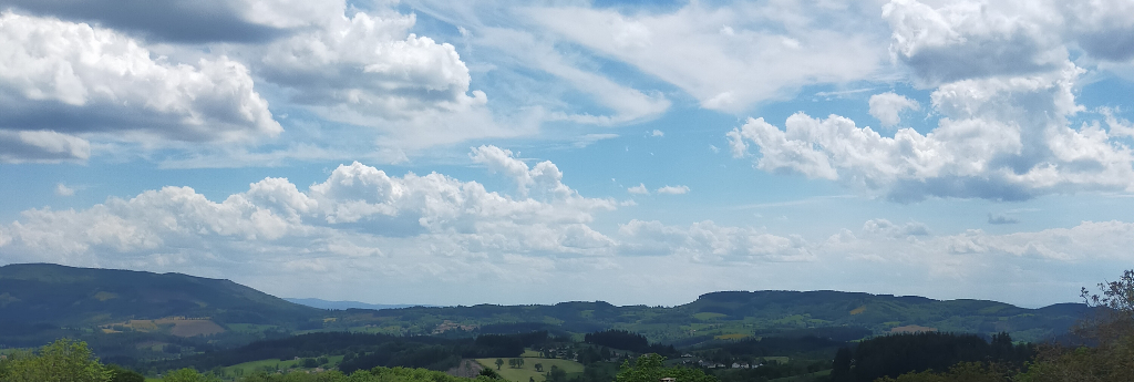 CELLES-SUR-DUROLLE Celles sur Durolle (63250) Ensemble immobilier Maison (+/-160m2) + grange (+/- 270m2) + terrain constructible (+/-3500m2) 11