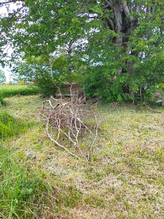 CELLES-SUR-DUROLLE Celles sur Durolle (63250) Ensemble immobilier Maison (+/-160m2) + grange (+/- 270m2) + terrain constructible (+/-3500m2) 16