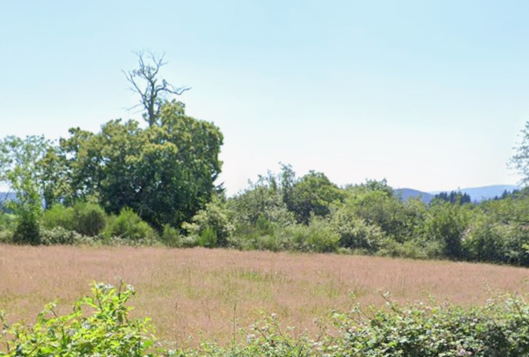 CELLES-SUR-DUROLLE Celles sur Durolle (63250) Ensemble immobilier Maison (+/-160m2) + grange (+/- 270m2) + terrain constructible (+/-3500m2) 8