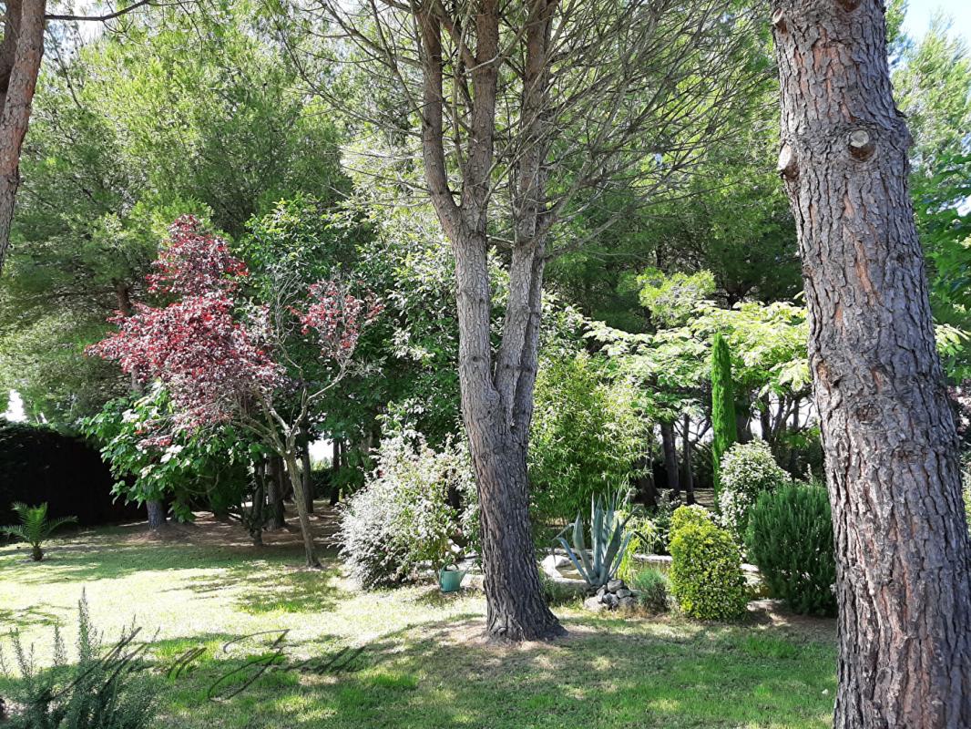 SAINT-REMY-DE-PROVENCE Saint Remy De Provence villa 5 pièces 128 m² avec piscine et dépendance 13