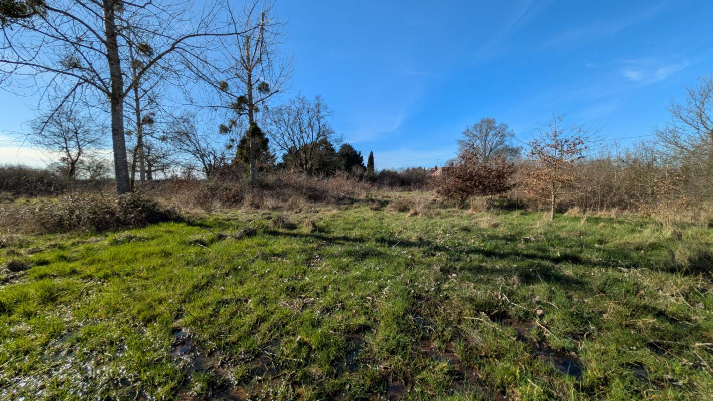 SAINT-GERAND-DE-VAUX Maison avec du cachet à rénover et grand terrain 17