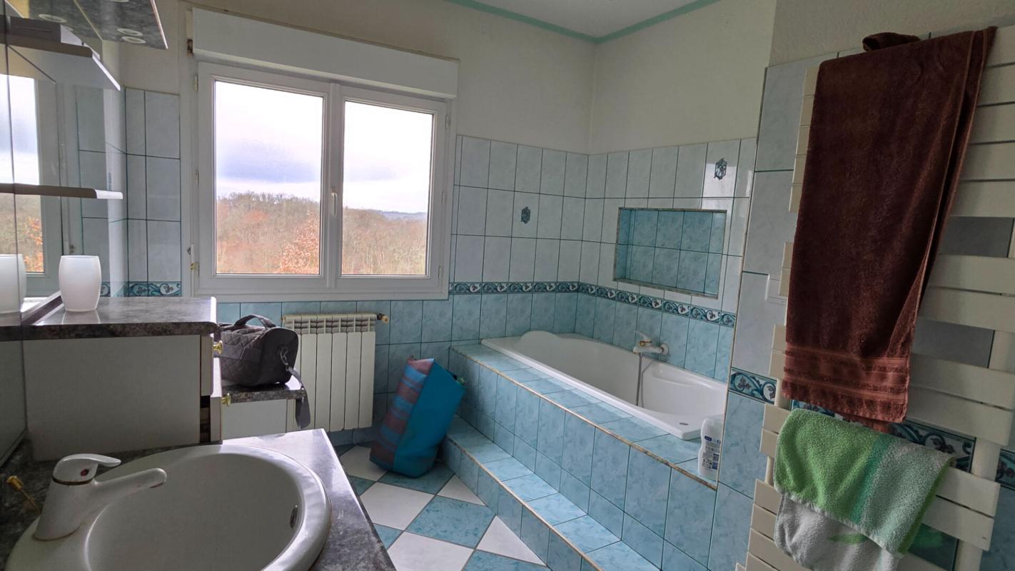 MARCIAC Maison secteur Marciac 4 pièce(s) 118 m2 sur 1,5 hectare 14