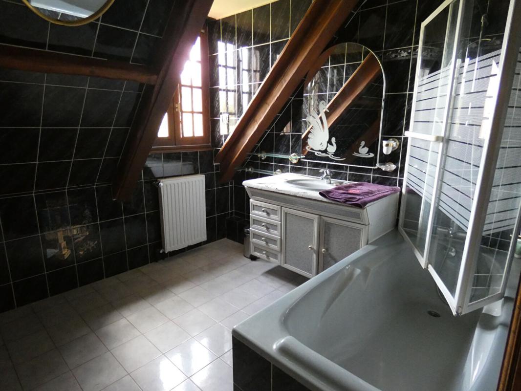 LIMETZ-VILLEZ Maison familiale 155 m2+ exeptionnel sous sol 11