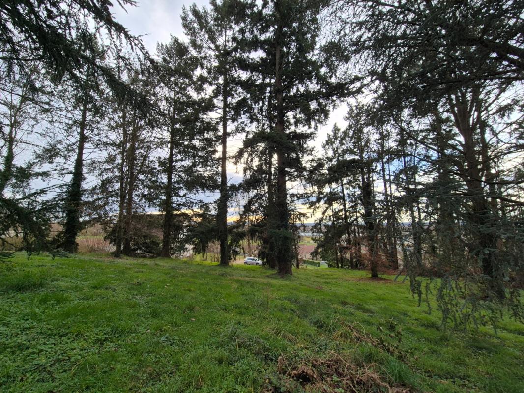 VARENNES-SUR-ALLIER Maison Varennes Sur Allier 5 pièce(s) 186 m2 16