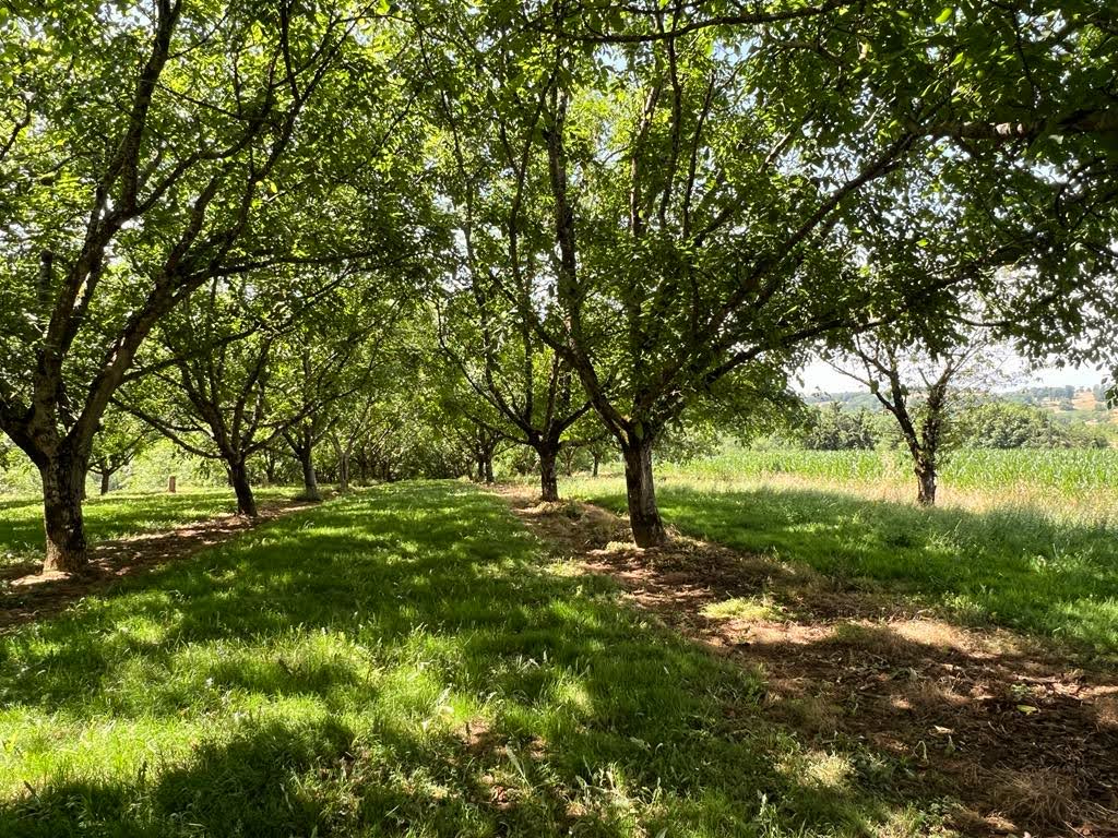 SAINT-SULPICE-D'EXCIDEUIL Corps de ferme en pierre à St Sulpice d'Excideuil de 120 m2 14