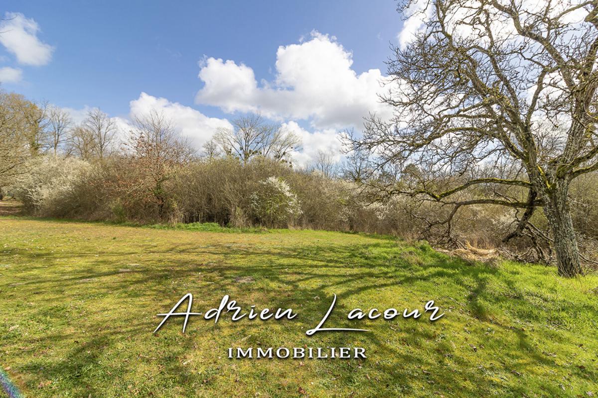 PRUNIERS-EN-SOLOGNE Terrain Pruniers En Sologne 11202 m2 1
