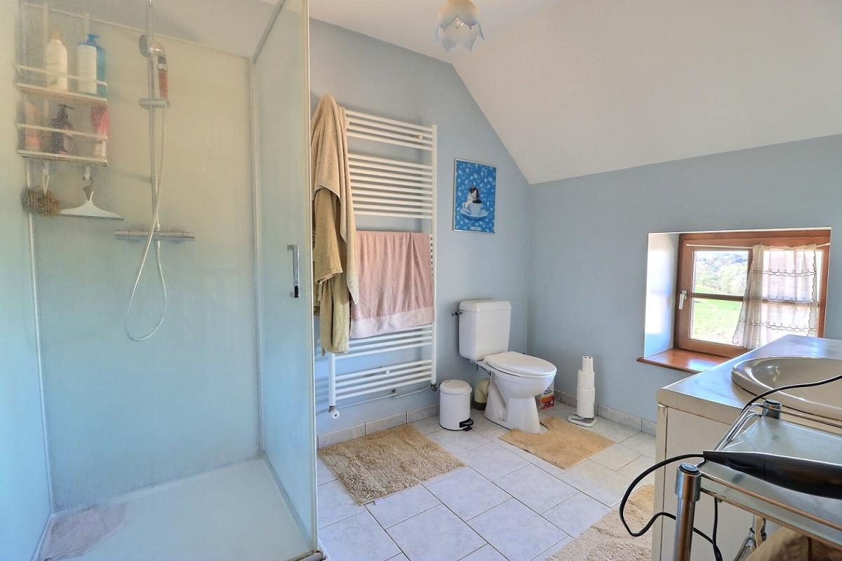 SAINT-MARTIN-DE-SALENCEY Ferme Saint Martin De Salencey 6 pièce(s) 157.5 m2 11