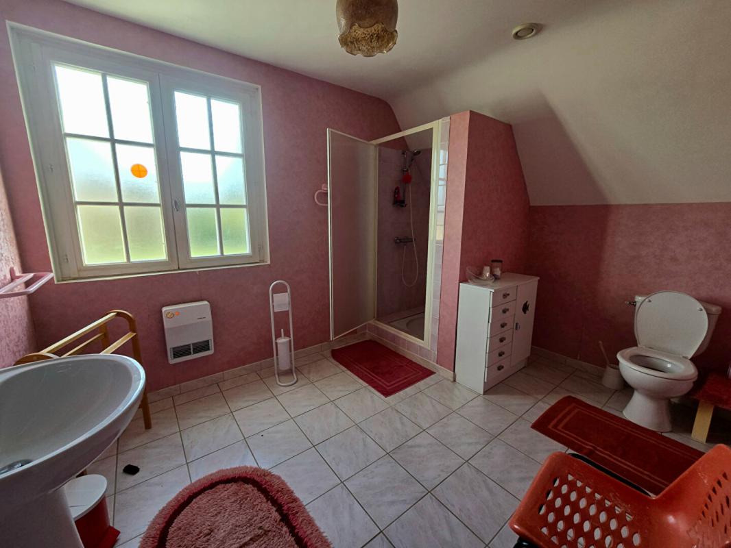 MEAULNE Maison Meaulne Vitray 6 pièce(s) 166 m2 9