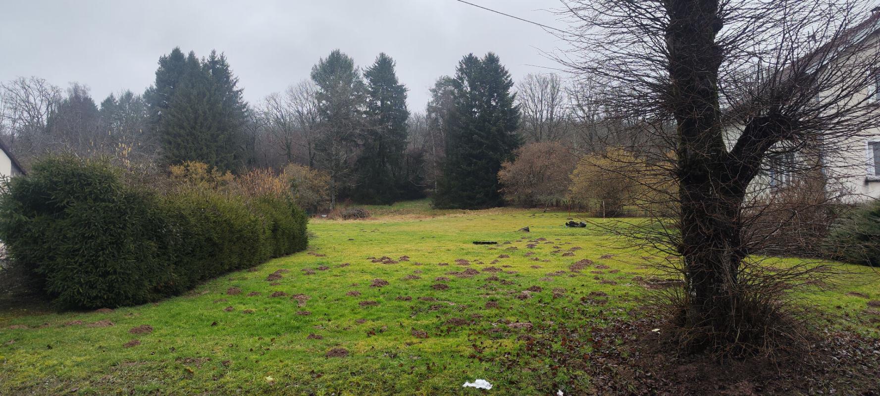 EVETTE-SALBERT Evette-Salbert 90350 : Terrain 52ares60 avec 1