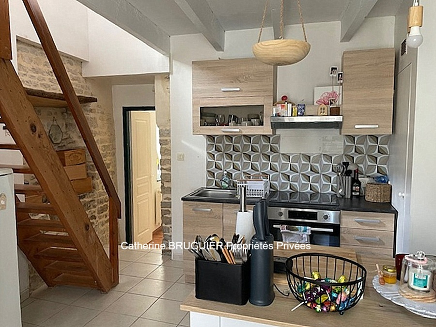 SAINT-SAUVEUR-D'AUNIS Grande maison familiale au coeur du village - 7 chambres - Jardin clos sans vis-à-vis 8