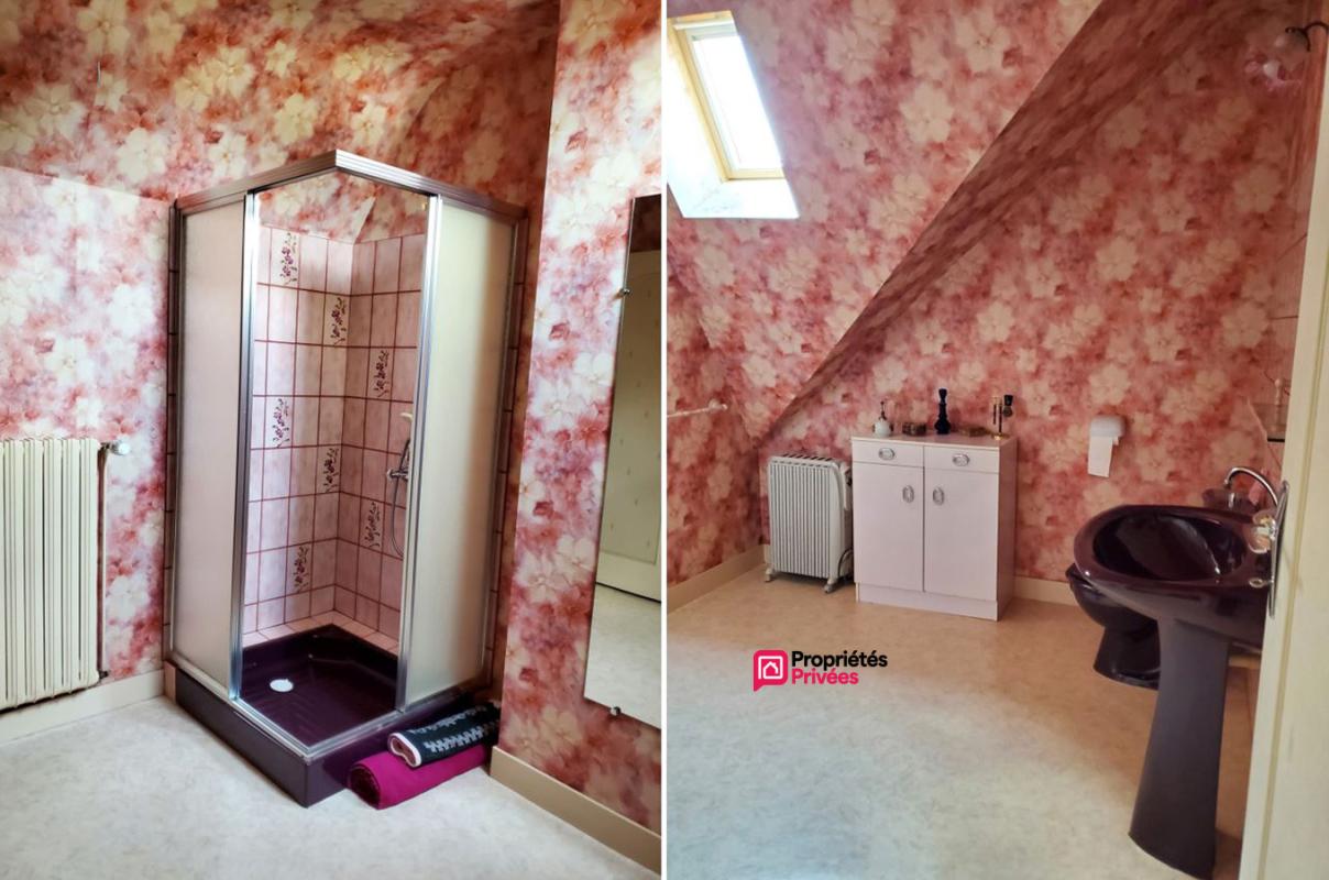 NOYERS-SUR-CHER Noyers sur Cher maison - 158 m² - 5 pièces - 4 chambres sur terrain de 1320 m² 12