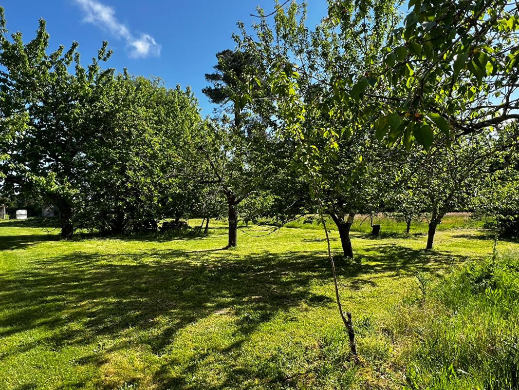 NOTRE-DAME-DE-SANILHAC Maison T5/6 d'env. 200 m2 avec étang, verger et nombreuses annexes sur SANILHAC (24660) 17