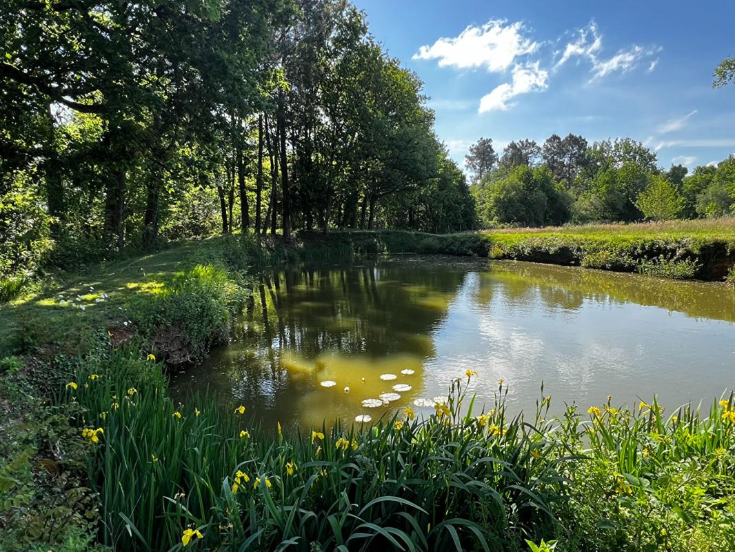 NOTRE-DAME-DE-SANILHAC Maison T5/6 d'env. 200 m2 avec étang, verger et nombreuses annexes sur SANILHAC (24660) 18