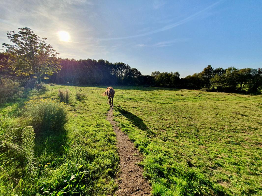 SAINTE-REINE-DE-BRETAGNE Jolie maison néo-bretonne avec étang, dépendances & 2 hectares de terrain, pré inclut. Sans vis-à-vis 10