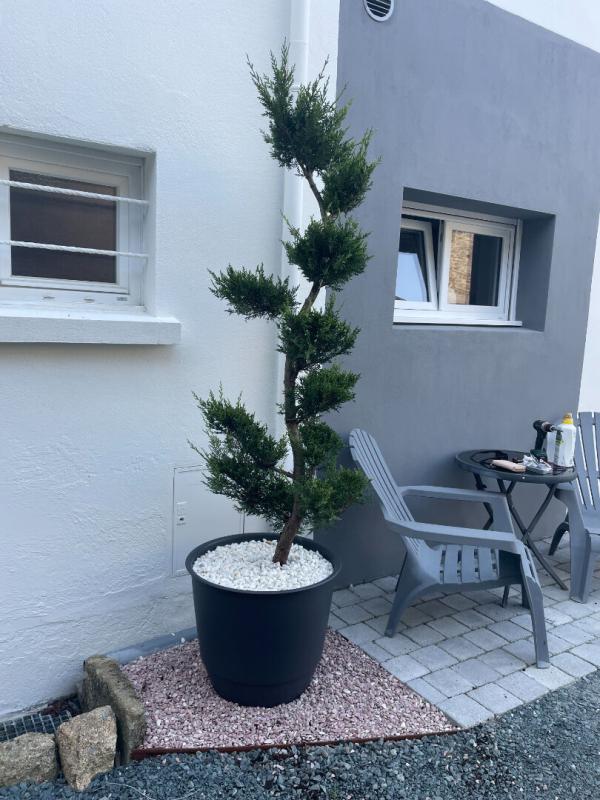 LE TEMPLE-DE-BRETAGNE MAISON 46 m² - LE TEMPLE DE BRETAGNE - 159 931 1