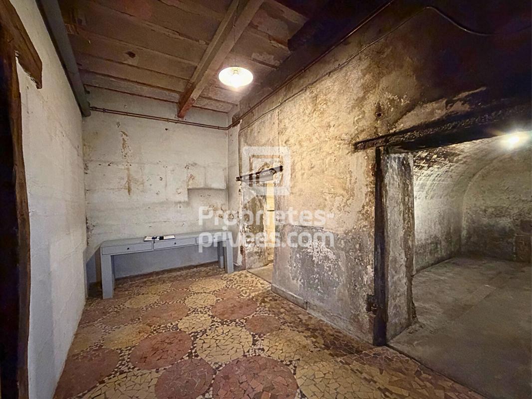 SAVONNIERES EXCLUSIVITE : maison 262 m2 à Savonnières / proche château de Villandry, idéal restaurant, gîte ou commerce 14