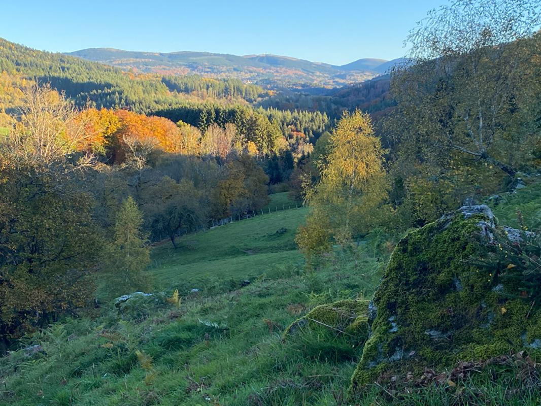 COURPIERE Corps de ferme 6 pièce(s) 350 m2 environ + terrain 27ha avec sources + dépendances 13