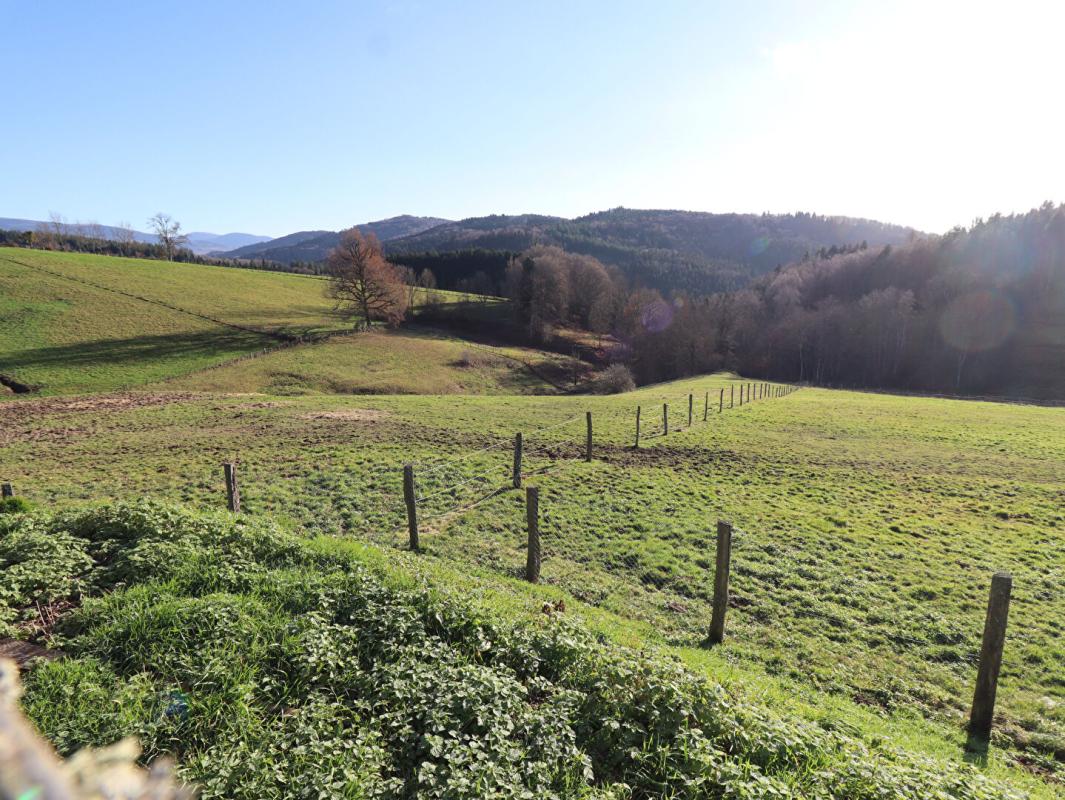 COURPIERE Corps de ferme 6 pièce(s) 350 m2 environ + terrain 27ha avec sources + dépendances 14