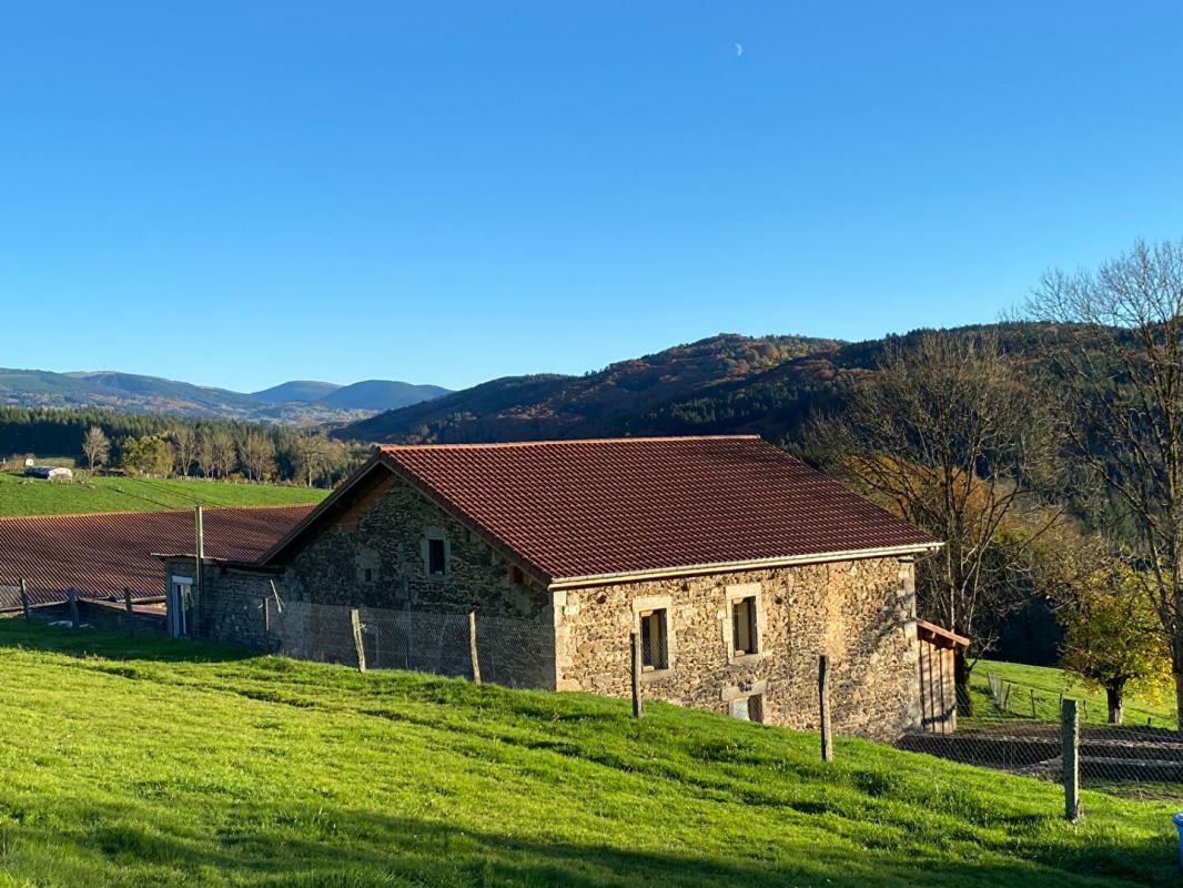 COURPIERE Corps de ferme 6 pièce(s) 350 m2 environ + terrain 27ha avec sources + dépendances 2