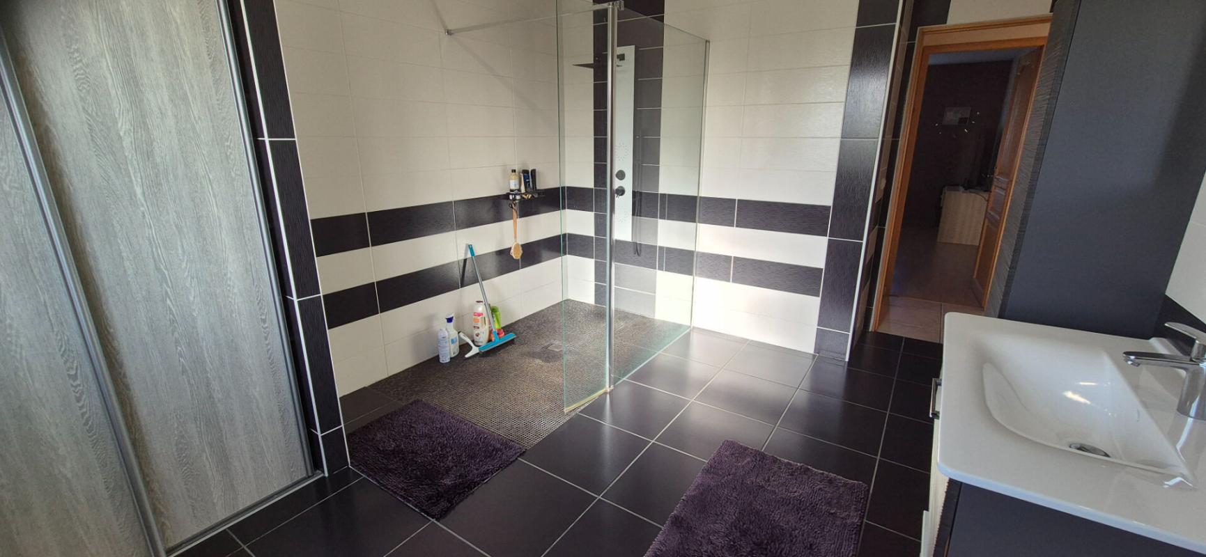 SAINT-DIZIER Superbe Pavillon Individuel de Plain-pied de 117 m² Entièrement Rénové avec sa Cour avant de 100 m², Patio, Terrasse avec Barbecue, SPA Massant de 6 Personnes, Terrain de Pétanque, Garage de 29 m² et un joli Terrain Clos, Arboré et entretenu de 1600 m² 15