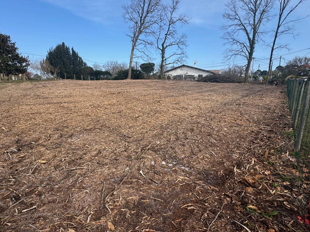 SALLES TERRAIN 971M² CENTRE VILLE 50% D'EMPRISE AU SOL 2