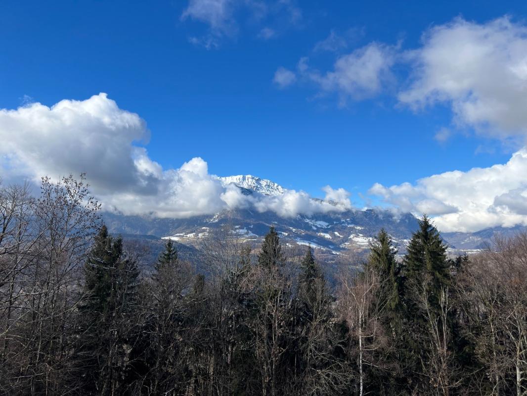 QUEIGE Terrain constructible aux portes du Beaufortain 3