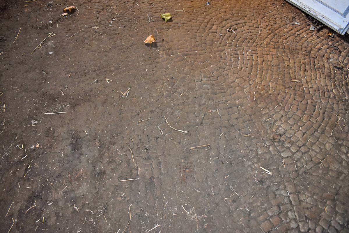 ARCHIGNAC Granges Archignac 11