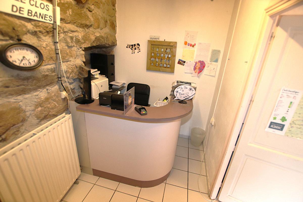 SAINTE-GENEVIEVE-SUR-ARGENCE À VENDRE ? DOMAINE TOURISTIQUE ? AUBRAC (12420) 11