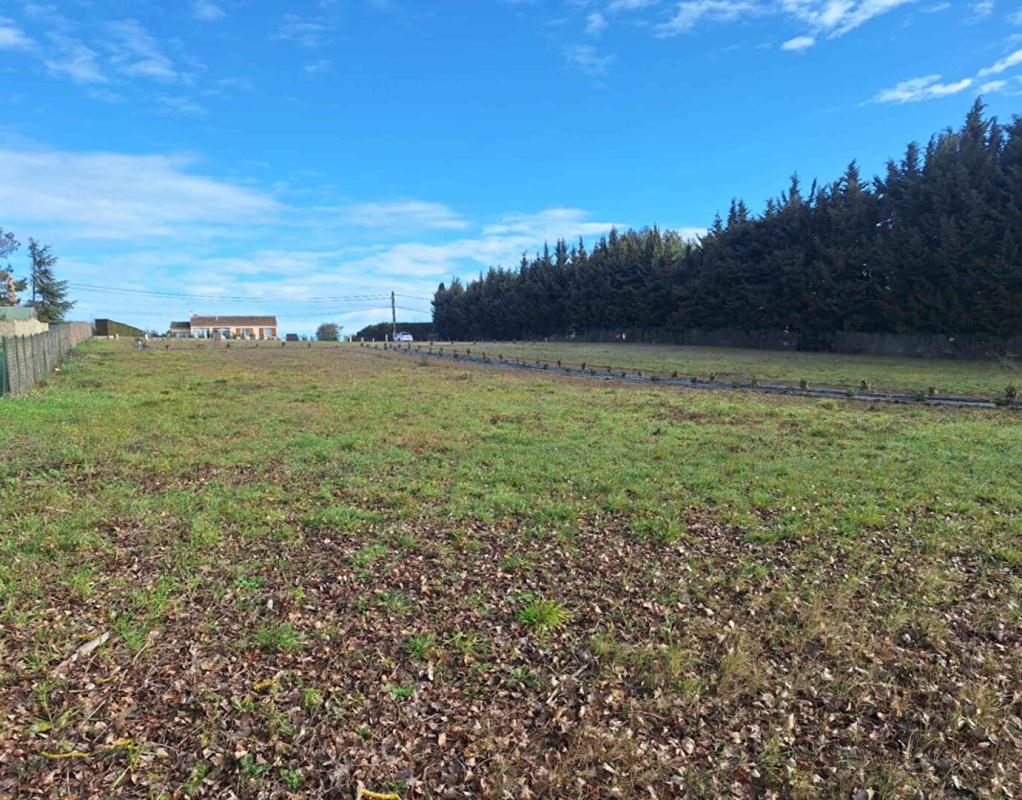 MONTREAL Terrain à bâtir secteur Montréal 1