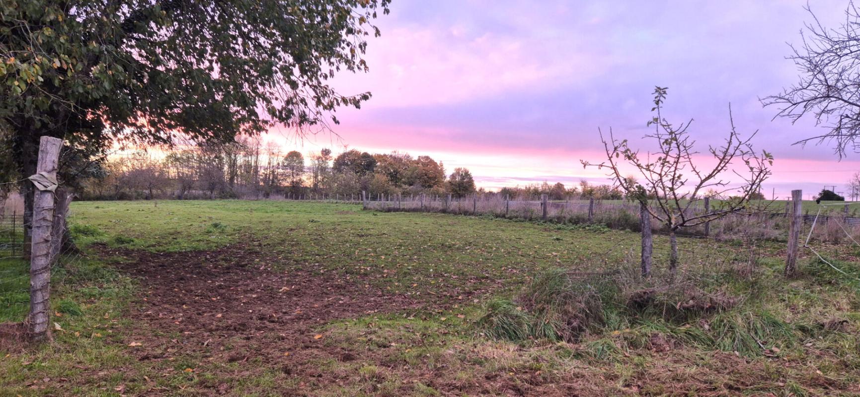 SAINT-DIZIER Belle Propriété d'Agrément et sa Maison Individuelle de 164 m² sur Sous-sol complet et Véranda à Rénover avec Cour, Garages, Caves, Dépendances et Terrain clos et paysager de 10192 m² 5