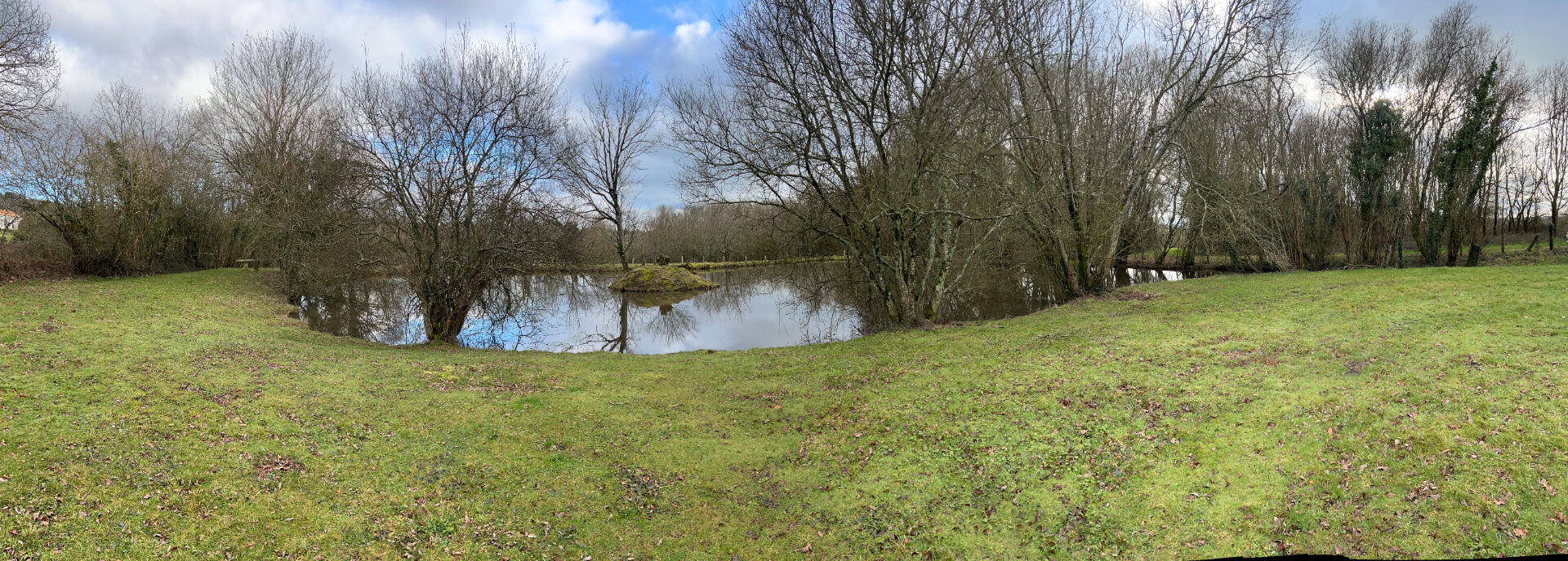 POUZAUGES étang sur Pouzauges 1