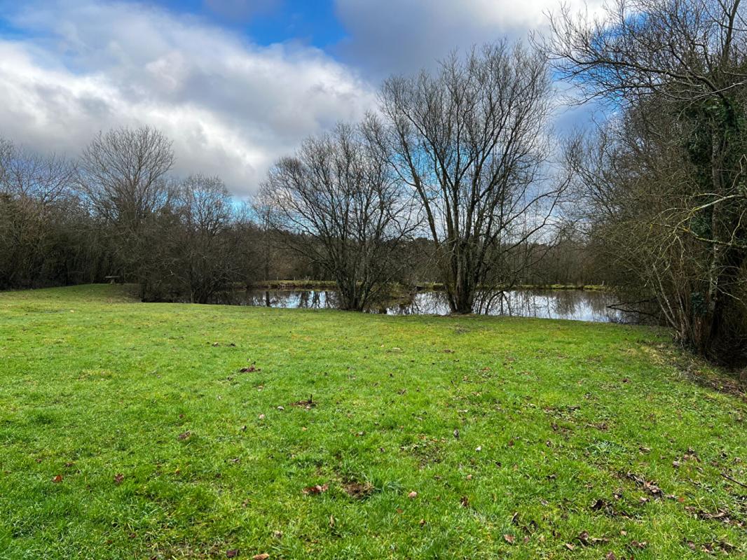 POUZAUGES étang sur Pouzauges 2