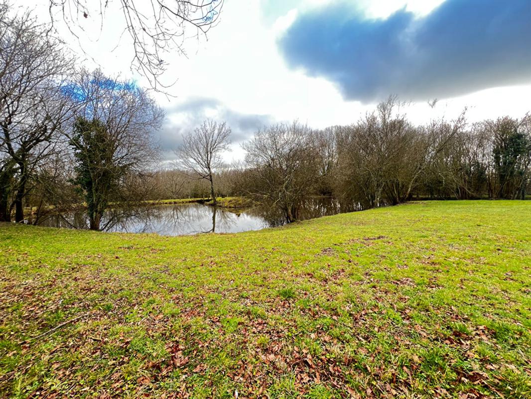 POUZAUGES étang sur Pouzauges 4