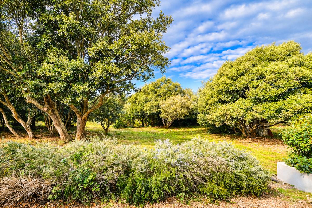 BONIFACIO Un domaine de vacances entre mer et maquis à Bonifacio 13
