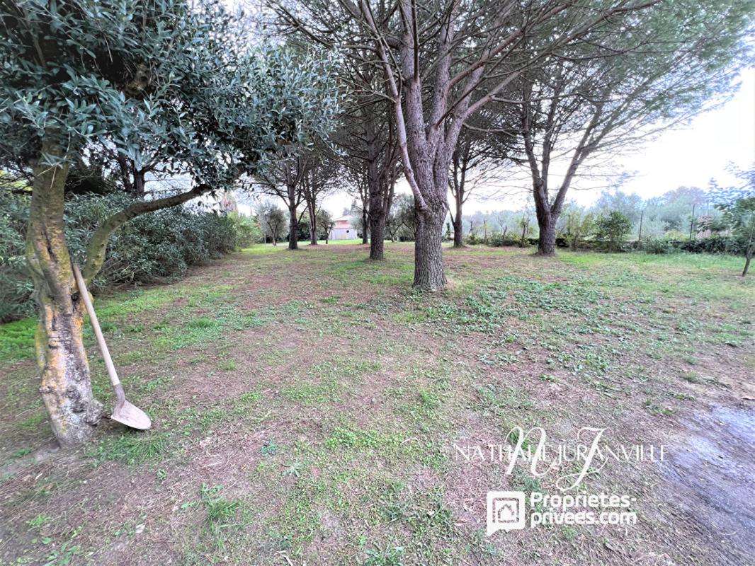 ARGELES-SUR-MER Argelès-sur-Mer, propriété d'e 254 m2 sur une parcelle de 11000m2 12