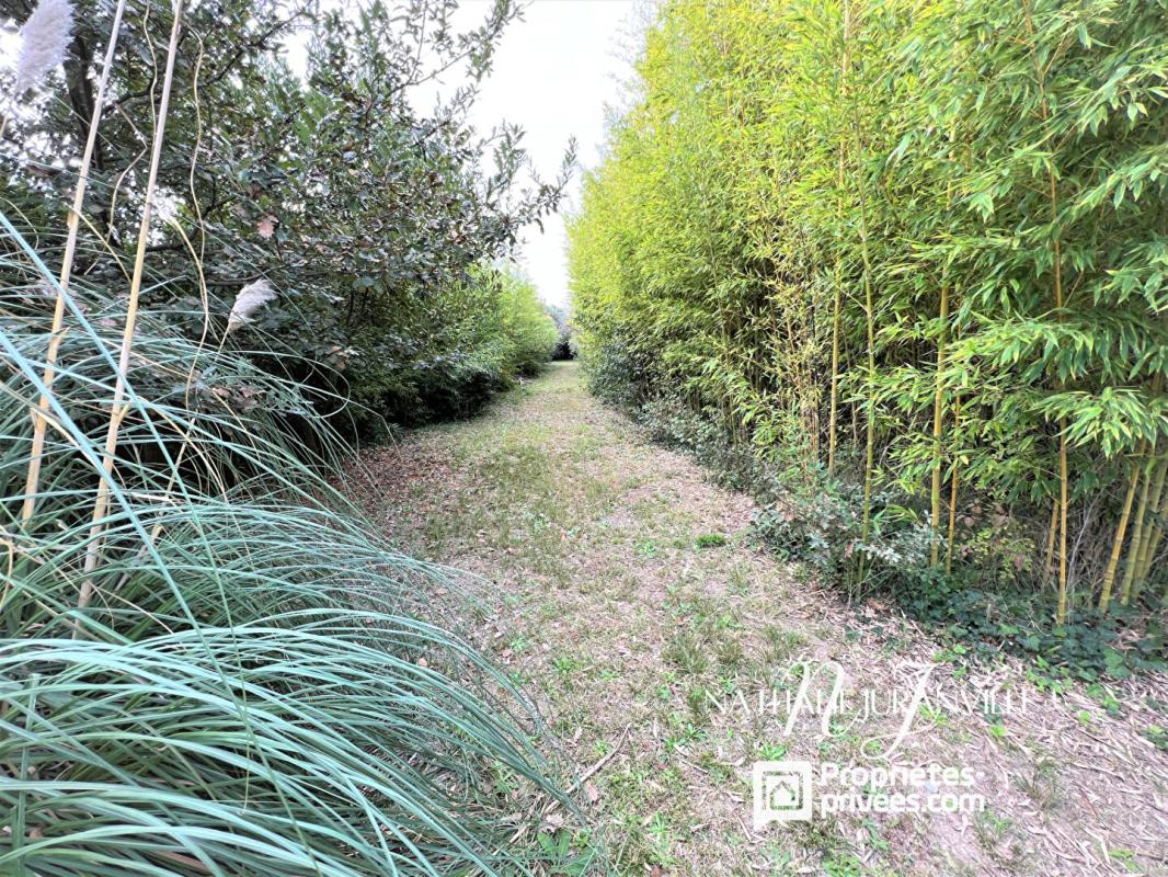 ARGELES-SUR-MER Argelès-sur-Mer, propriété d'e 254 m2 sur une parcelle de 11000m2 13