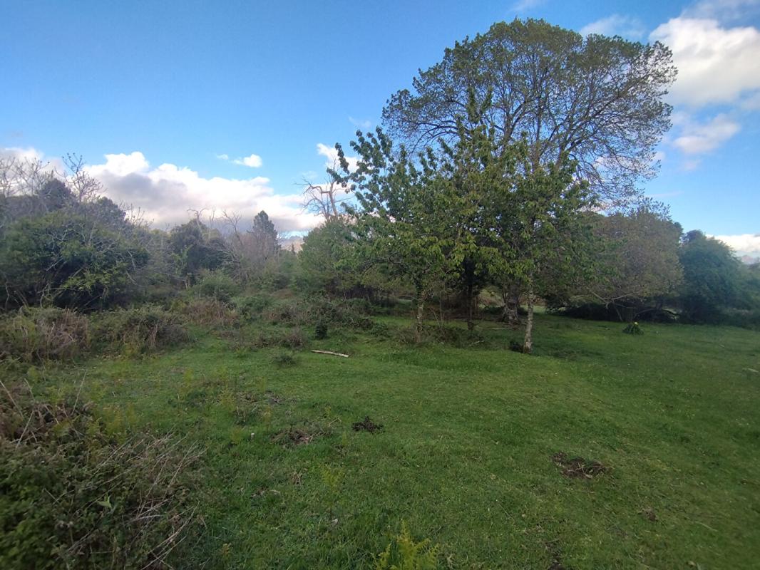 QUENZA Terrain de 3000 m² - Quenza (Alta Rocca, Corse-du-Sud) 4