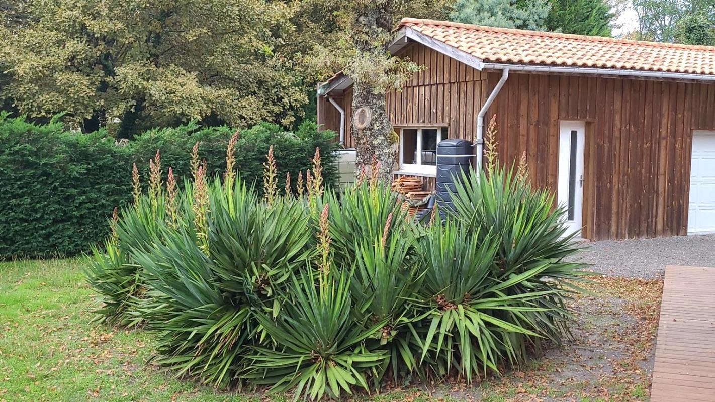 BELIN-BELIET MAISON AVEC GARAGE 4CH + BUREAU + DOUBLE GARAGE + PISCINE 3