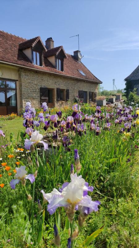 CHANGY Charmante longère en pierre à vendre à Changy de 200 m2 et ses 2000 Iris 17