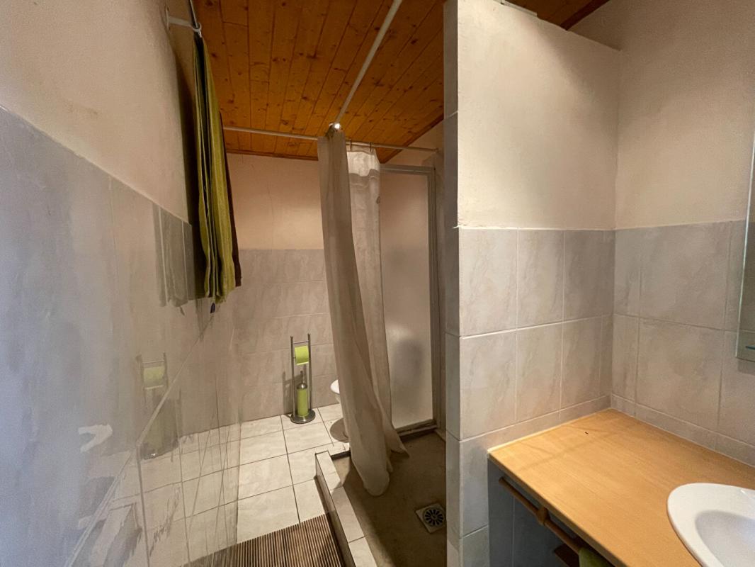 CHANGY Charmante longère en pierre à vendre à Changy de 200 m2 et ses 2000 Iris 9