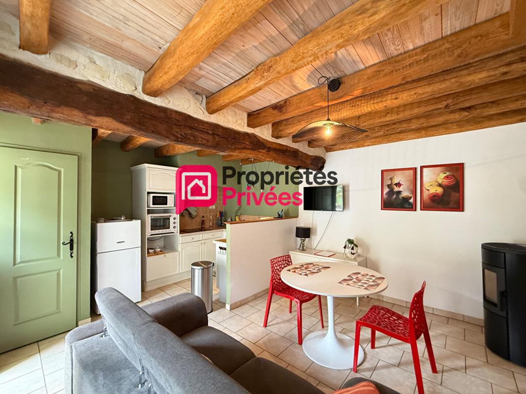 AZAY-LE-RIDEAU Propriété avec Gîtes - Proche Azay le Rideau -12 pièce(s) 274 m2 16