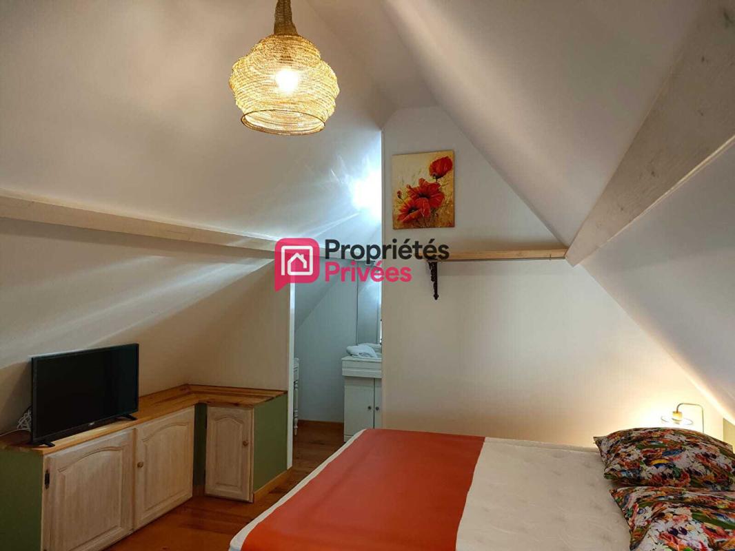 AZAY-LE-RIDEAU Propriété avec Gîtes - Proche Azay le Rideau -12 pièce(s) 274 m2 17