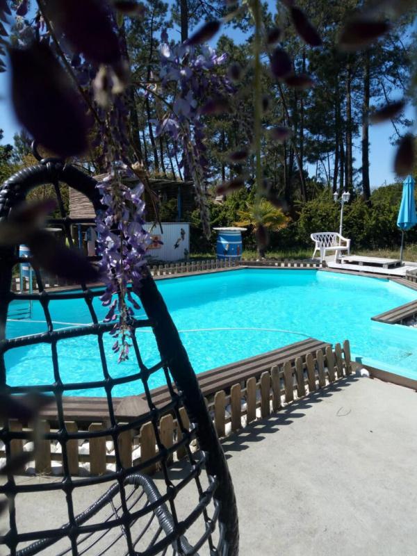 ANDERNOS-LES-BAINS Maison avec piscine et garage sur plus de 900 m² 18