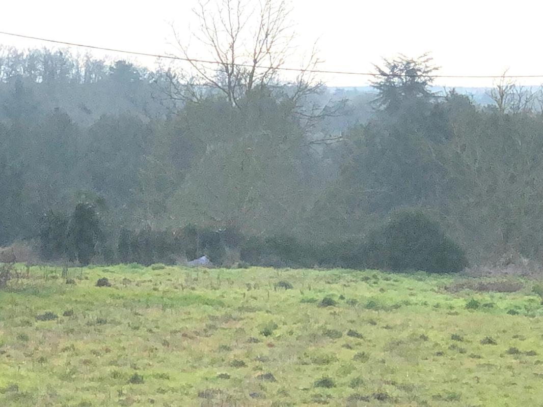 MIGNE-AUXANCES Terrain à bâtir viabilisé - lotissement SIGON - Migne Auxances 5