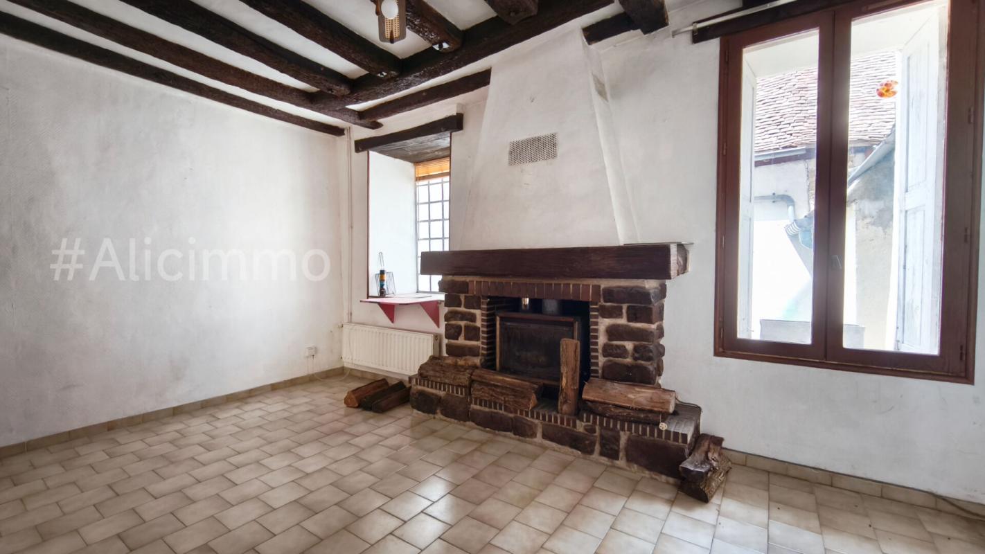 VILLENAUXE-LA-GRANDE Maison Villenauxe La Grande 8 pièces 150 m2 9