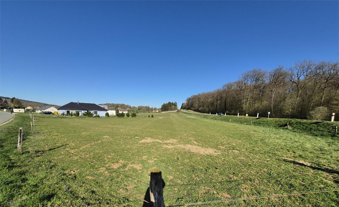HERICOURT Terrain à bâtir de 3460 m2 ou 1000 m2 à 35000 euros 2